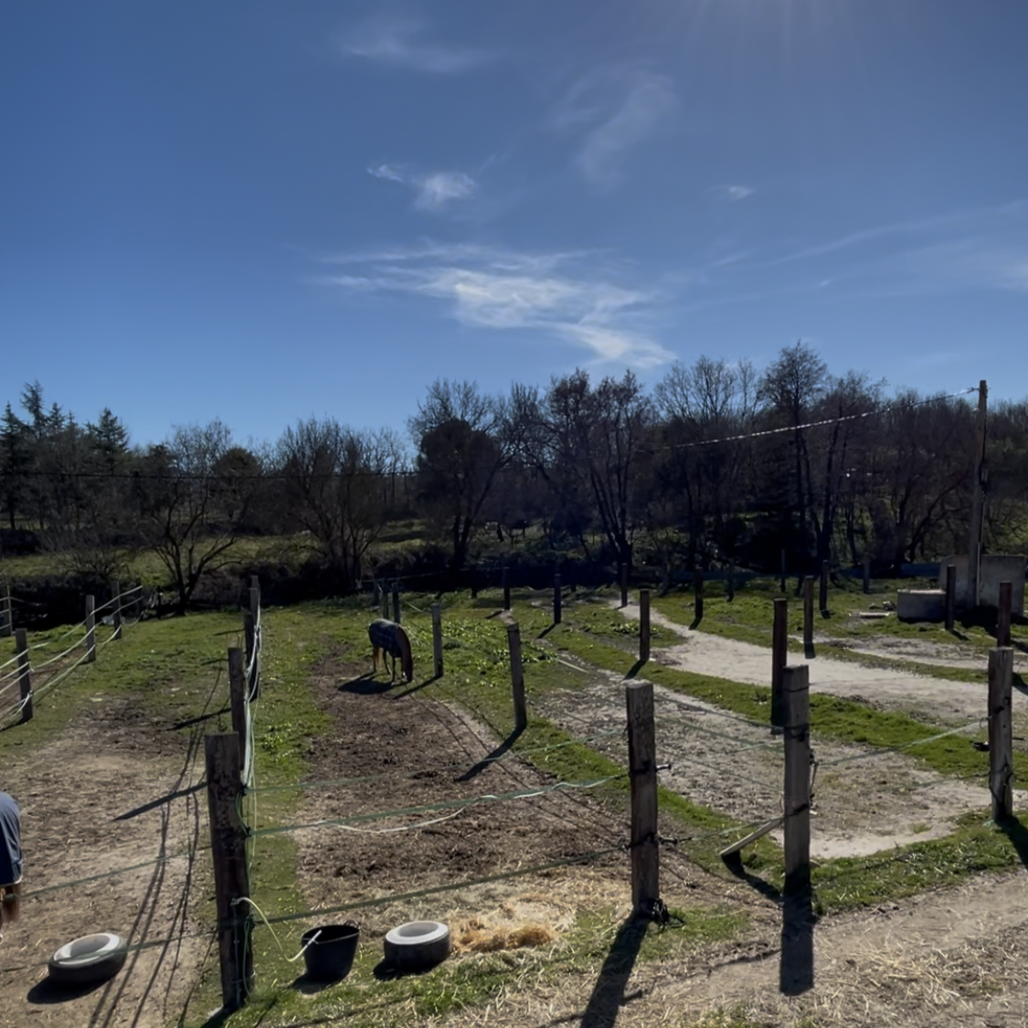 Paddocks Individuales