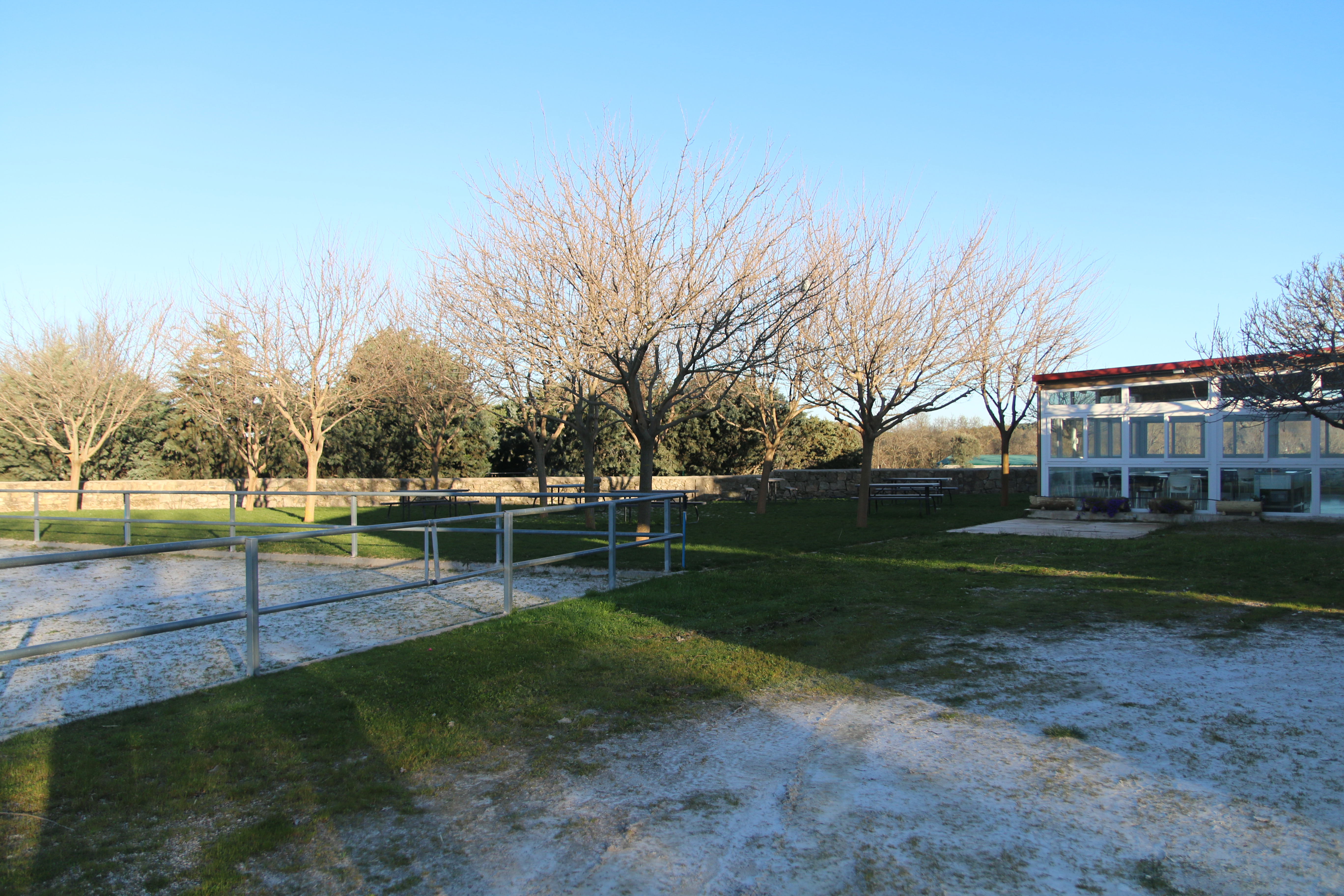Terraza 