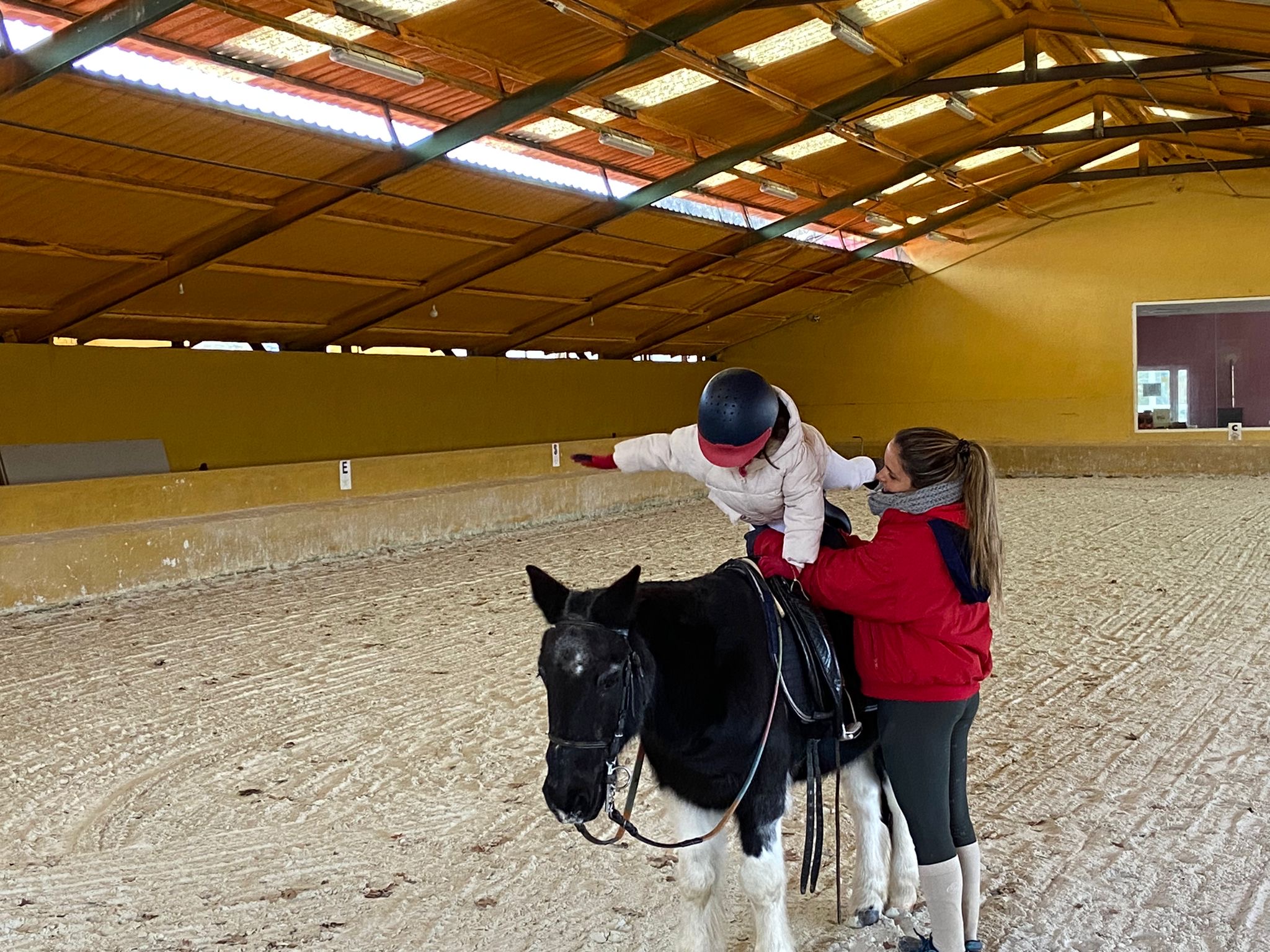 Clases de poni