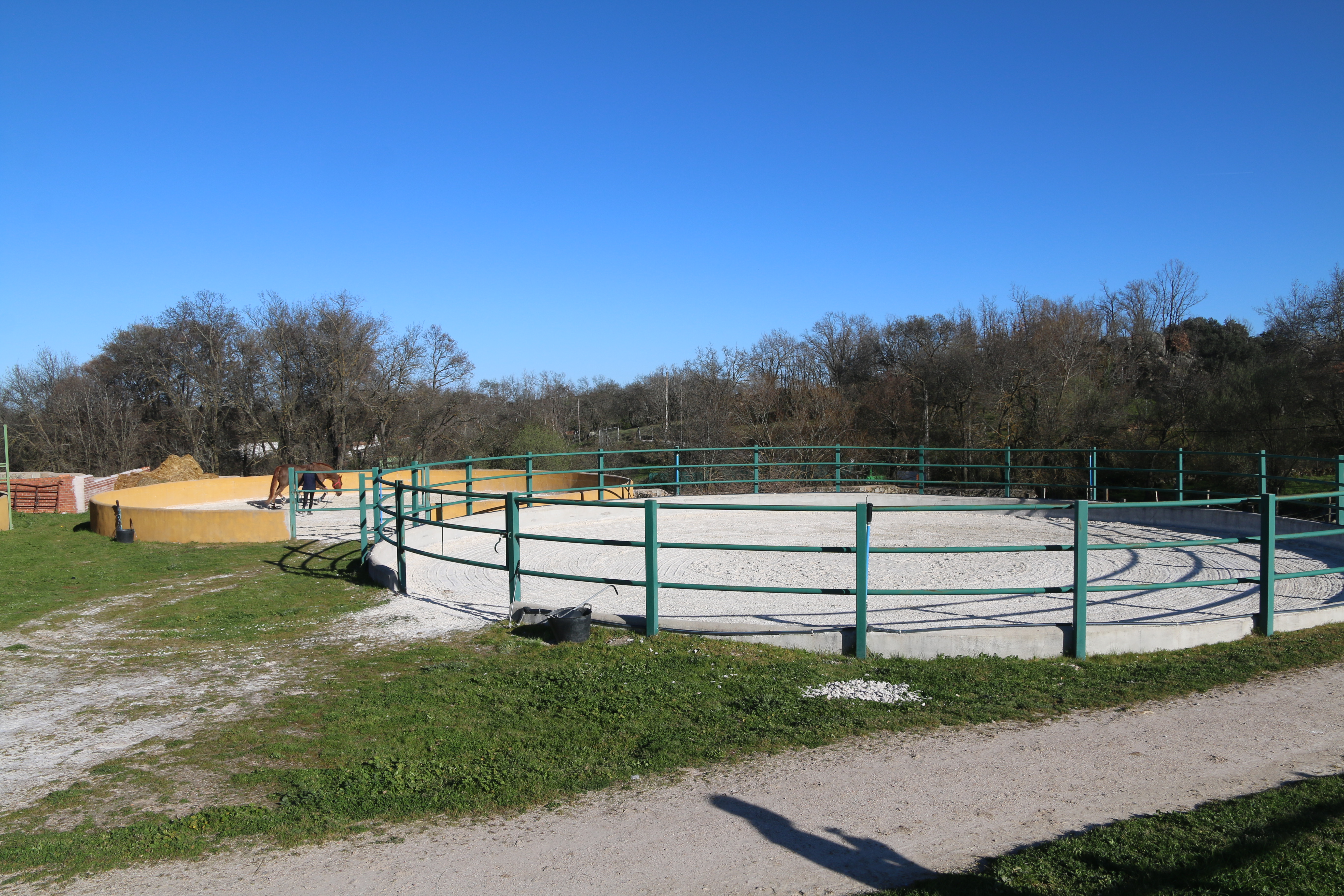 Pistas circulares