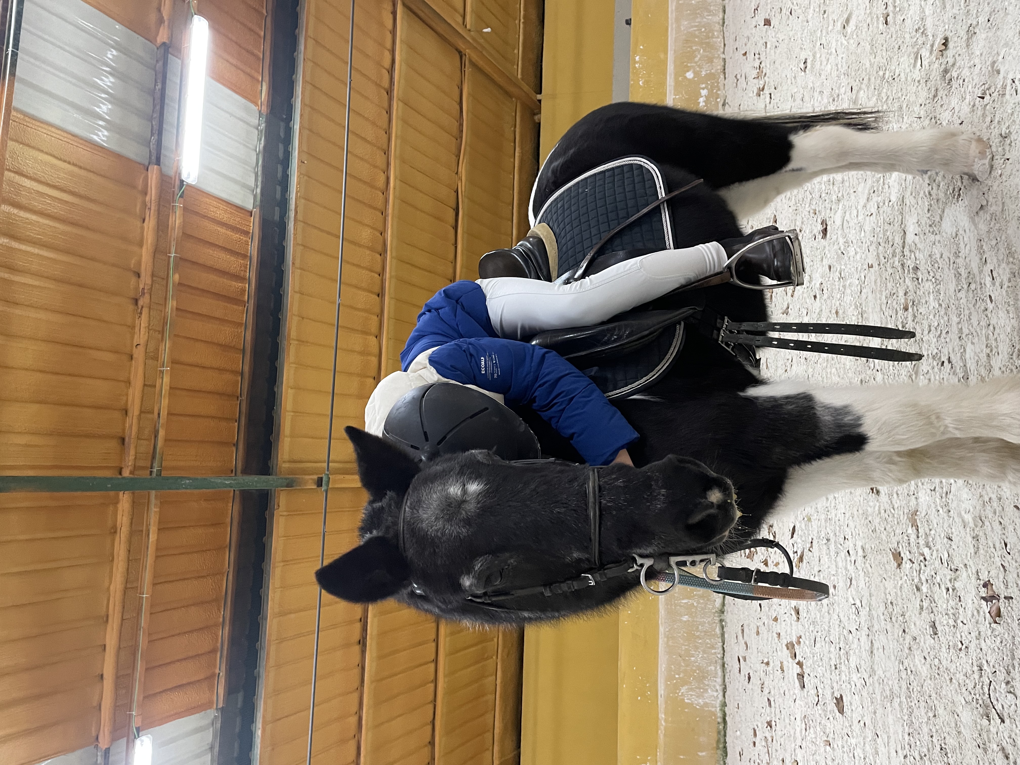 Clases poni